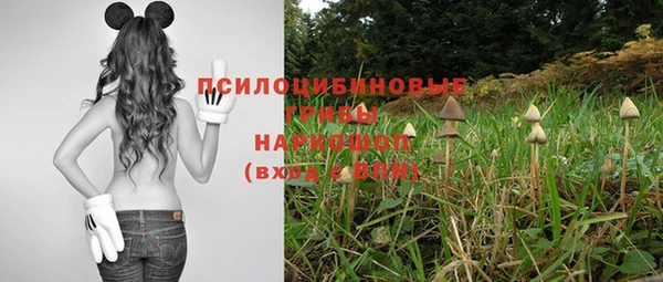 экстази Алексеевка