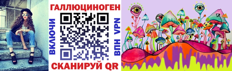 дарнет шоп  Елизово  мега рабочий сайт  Псилоцибиновые грибы Psilocybe 