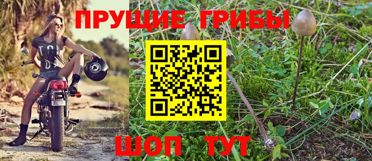 Псилоцибиновые грибы мицелий  Вход с VPN  Елизово 