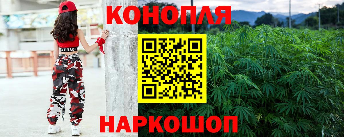 Елизово  Конопля тримм  Конопля тримм  Вход с VPN  Шишки марихуана сатива 